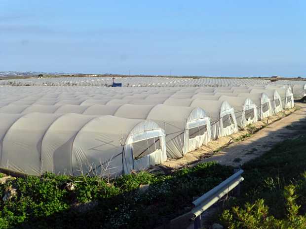 landkaeufe-zugvogelschutzgebiet-pantani-cuba-und-longarini-9a