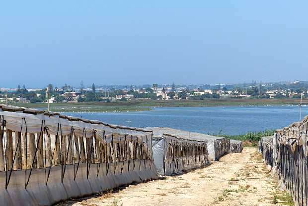 landkaeufe-zugvogelschutzgebiet-pantani-cuba-und-longarini-9b