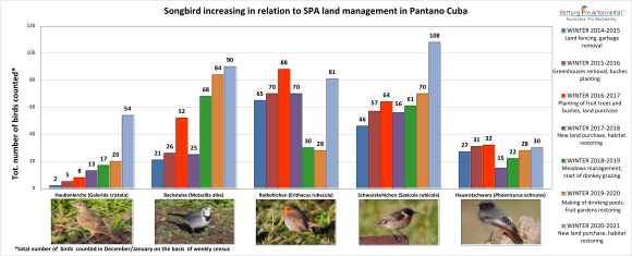 Migratory Birds in Pantano Cuba