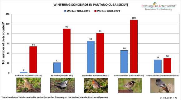 Pantano Cuba Birds Hunting Season