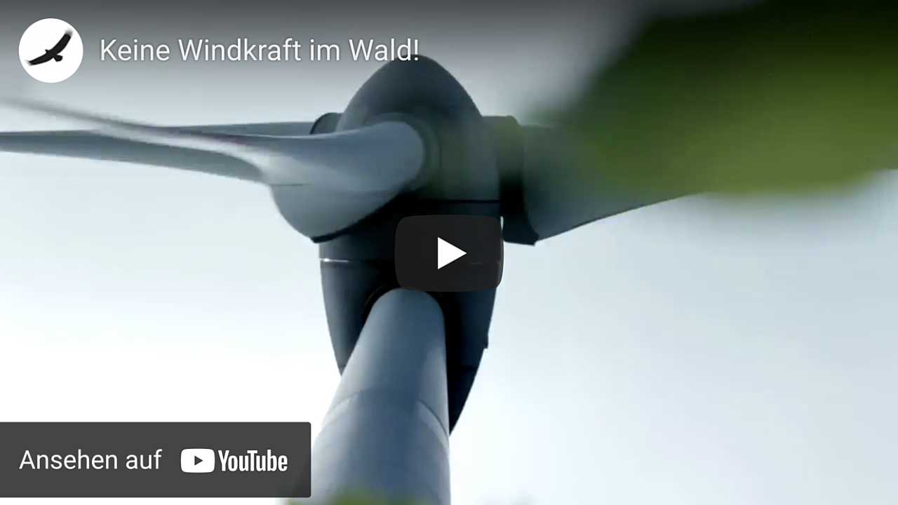 Video: Keine Windkraft im Wald!