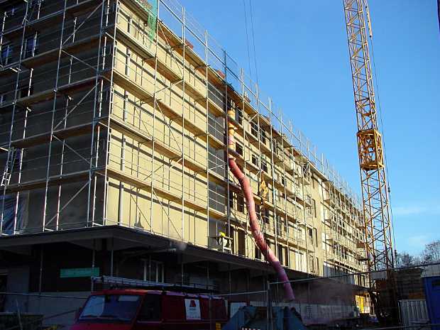 Gebäudesanierungen: ein Hauptfaktor für den Verlust von Mauersegler-Nistplätzen © SPA