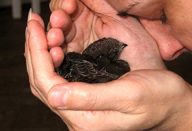 Zwei, die erschöpft schlafen © A. Stahl