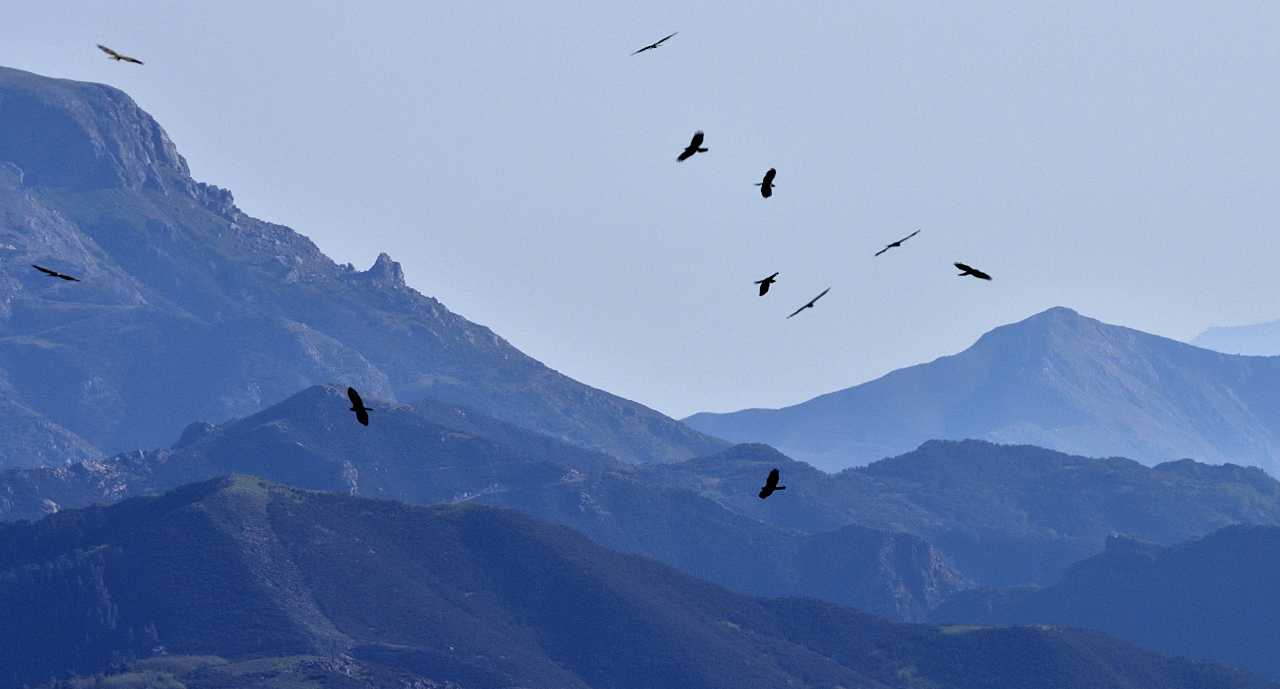 wildtierschutz-wildtierrettungsstation-messina-2
