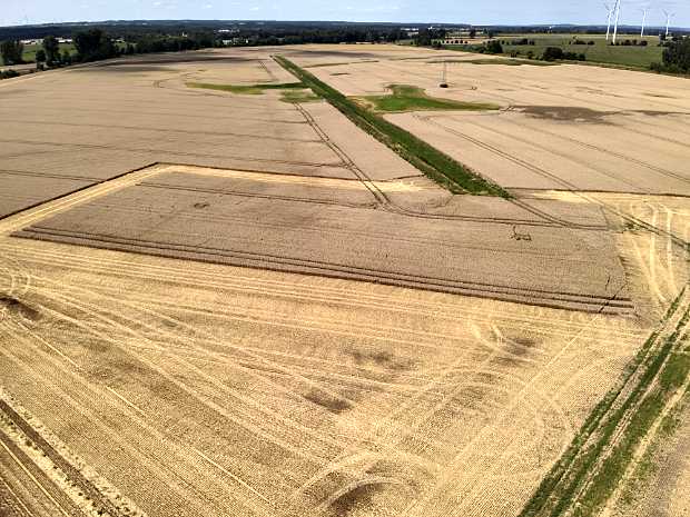Cereal fields suitable for machinery in Brandenburg… as far as the eye can see